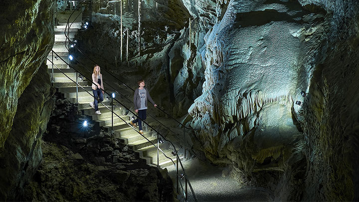 Met korting naar de Grotten van Han en het Wildpark! - Tripper.nl