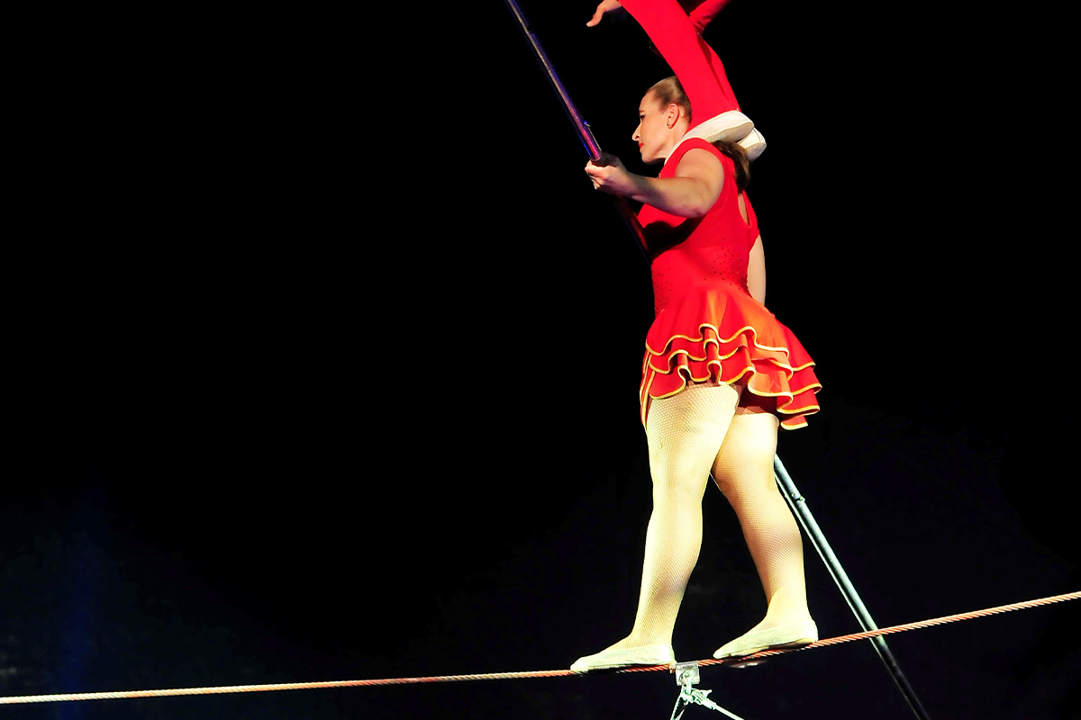 Great Christmas Circus | Actieprijs € 15 (-40%) - Tripper.nl