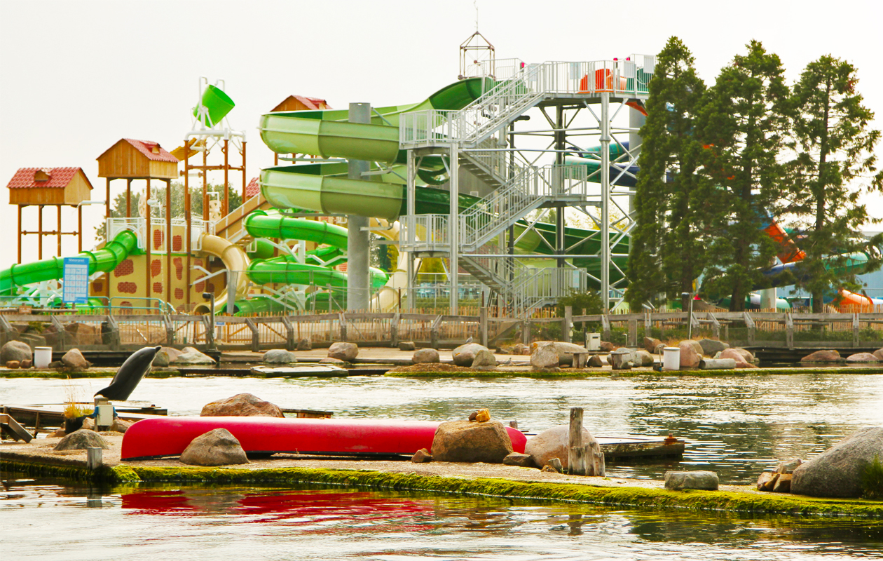 Met korting naar het Dolfinarium in Harderwijk? - Tripper.nl