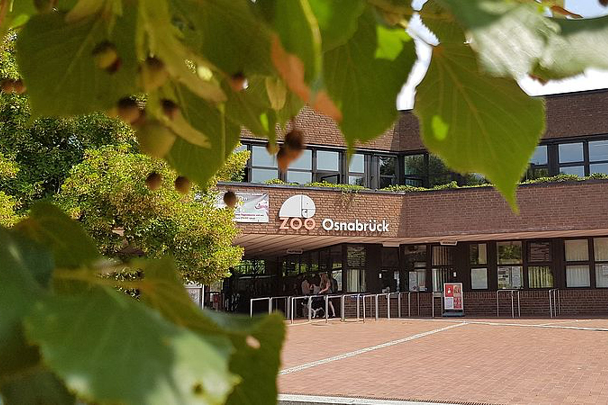 Verwunderlich Zoo Osnabrck Gutschein Bild