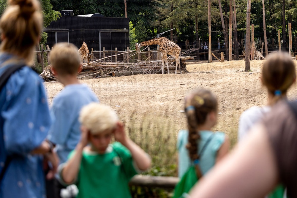 Een onvergetelijke familiedag in DierenPark Amersfoort
