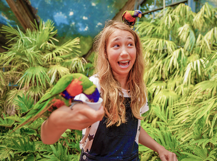 Korting Ontdek een wereld aan vogels in Vogelpark Avifauna Alphen aan den Rijn Ontdek een wereld aan vogels in Vogelpark Avifauna Alphen aan den Rijn